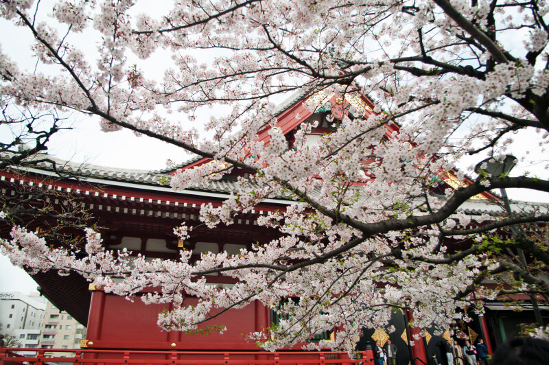 Travel Japan: Hakone und Tokio