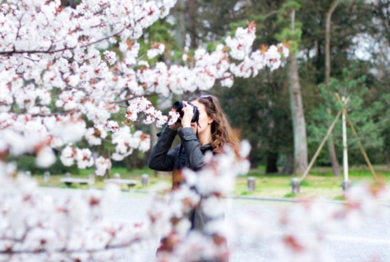 Die schönsten Reiseziele in Europa im Frühling