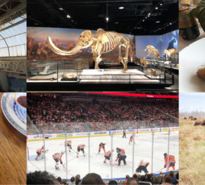 7 Dinge, die man in Edmonton unbedingt machen soll!